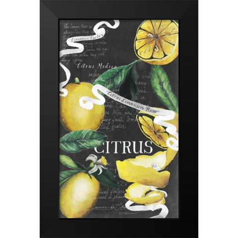 Chalkboard Citrus II Black Modern Wood Framed Art Print by Popp, Grace