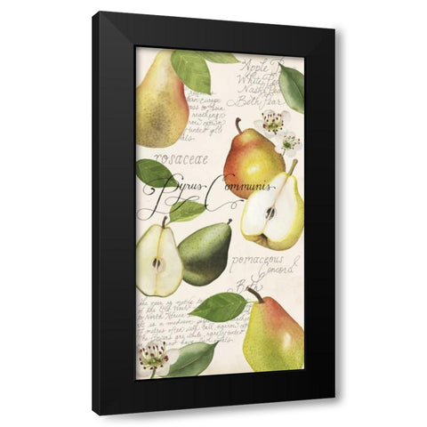 Pyrus Study I Black Modern Wood Framed Art Print with Double Matting by Popp, Grace