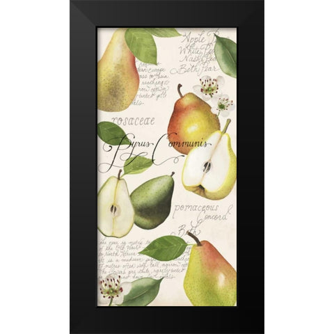 Pyrus Study I Black Modern Wood Framed Art Print by Popp, Grace