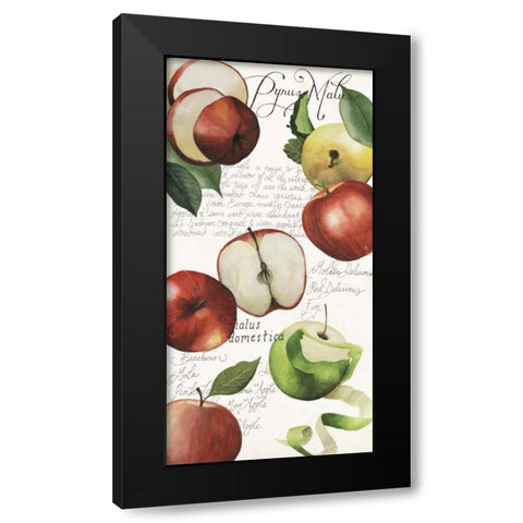Pyrus Study II Black Modern Wood Framed Art Print with Double Matting by Popp, Grace