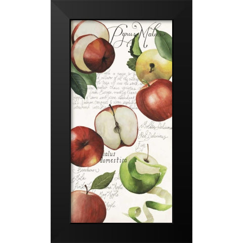 Pyrus Study II Black Modern Wood Framed Art Print by Popp, Grace