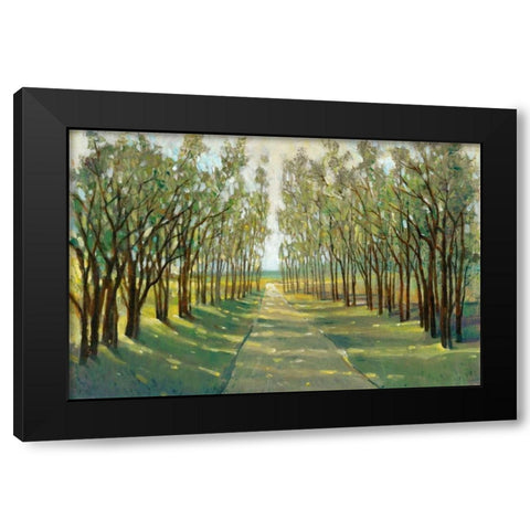 Forest Path Black Modern Wood Framed Art Print by OToole, Tim