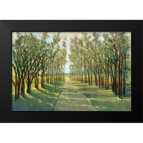 Forest Path Black Modern Wood Framed Art Print by OToole, Tim