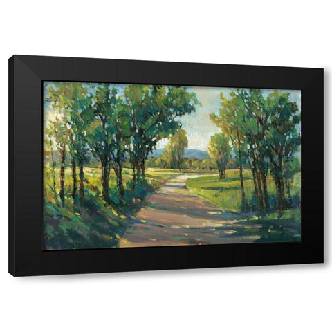 UA Lush Landscape II Black Modern Wood Framed Art Print by OToole, Tim