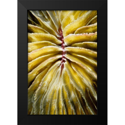 Enticing - Thailand Black Modern Wood Framed Art Print by Factor, Beverly
