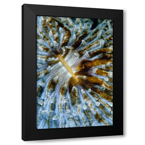 Interlude - Papua New Guinea Black Modern Wood Framed Art Print by Factor, Beverly