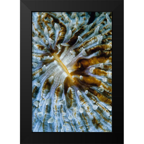 Interlude - Papua New Guinea Black Modern Wood Framed Art Print by Factor, Beverly