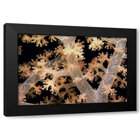 Splendid Branches - Fiji Black Modern Wood Framed Art Print by Factor, Beverly