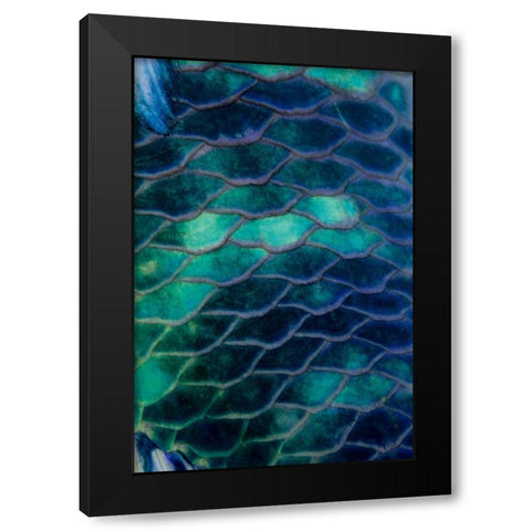 Ripples - Malaysia Black Modern Wood Framed Art Print by Factor, Beverly