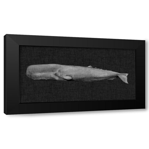Inverted Whale I Black Modern Wood Framed Art Print with Double Matting by Popp, Grace