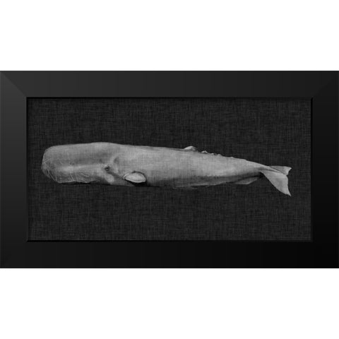 Inverted Whale I Black Modern Wood Framed Art Print by Popp, Grace