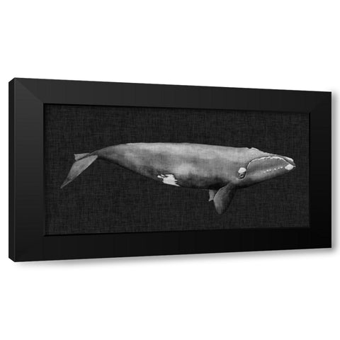 Inverted Whale II Black Modern Wood Framed Art Print with Double Matting by Popp, Grace