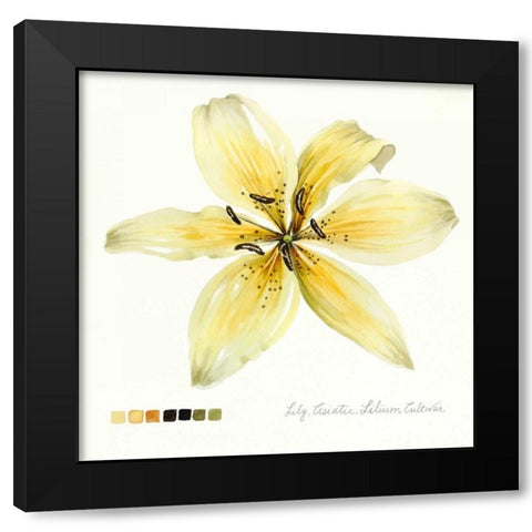 Lilium I Black Modern Wood Framed Art Print with Double Matting by Popp, Grace