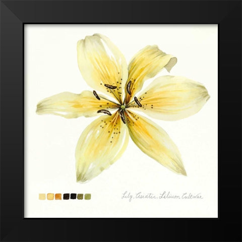 Lilium I Black Modern Wood Framed Art Print by Popp, Grace