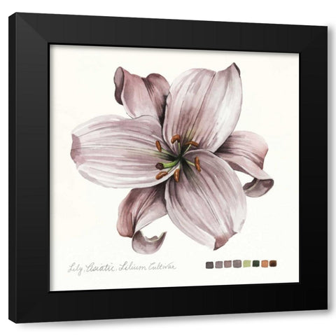 Lilium II Black Modern Wood Framed Art Print by Popp, Grace