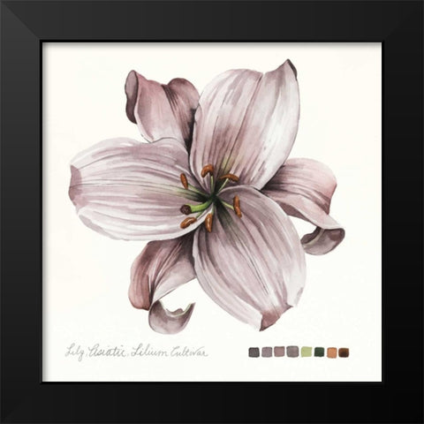 Lilium II Black Modern Wood Framed Art Print by Popp, Grace