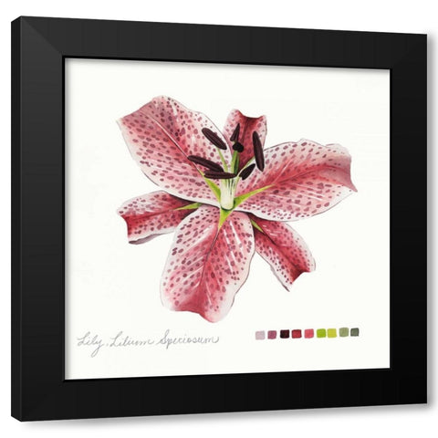 Lilium III Black Modern Wood Framed Art Print by Popp, Grace