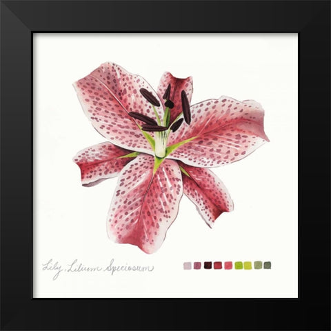 Lilium III Black Modern Wood Framed Art Print by Popp, Grace