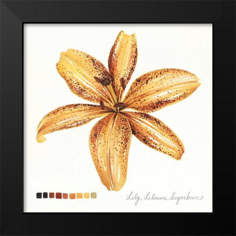 Lilium IV Black Modern Wood Framed Art Print by Popp, Grace