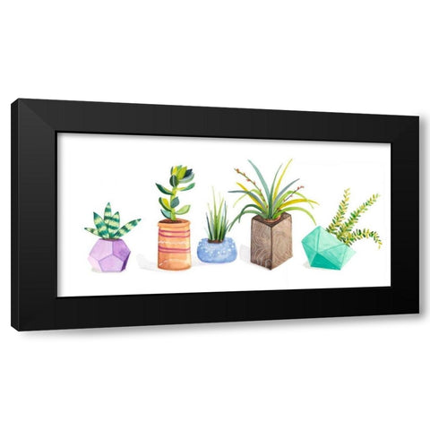 Succulent Display I Black Modern Wood Framed Art Print by Ewer, Rebekah
