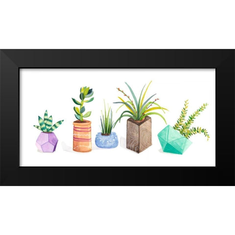 Succulent Display I Black Modern Wood Framed Art Print by Ewer, Rebekah