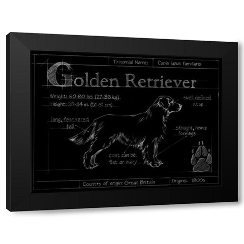 Blueprint Golden Retriever Black Modern Wood Framed Art Print with Double Matting by Ethan Harper