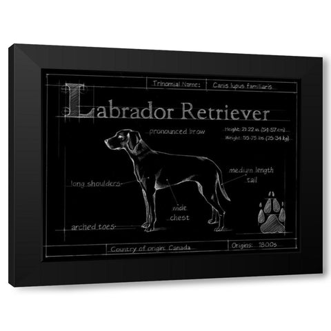 Blueprint Labrador Retriever Black Modern Wood Framed Art Print with Double Matting by Ethan Harper