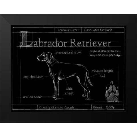 Blueprint Labrador Retriever Black Modern Wood Framed Art Print by Ethan Harper