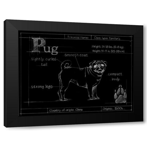 Blueprint Pug Black Modern Wood Framed Art Print with Double Matting by Ethan Harper
