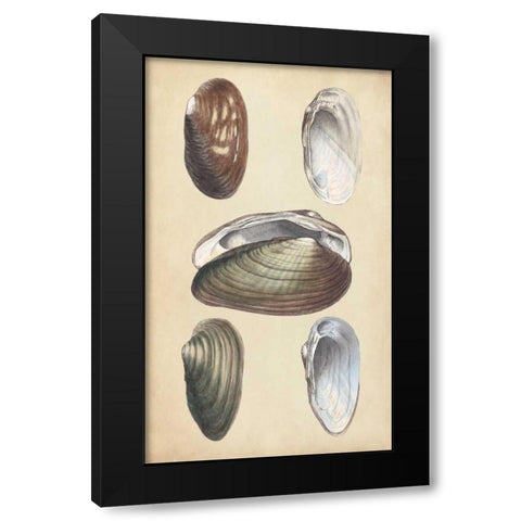 Marine Bivalves I Black Modern Wood Framed Art Print by Wood