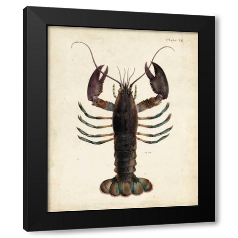Vintage Lobster Black Modern Wood Framed Art Print by Dekay