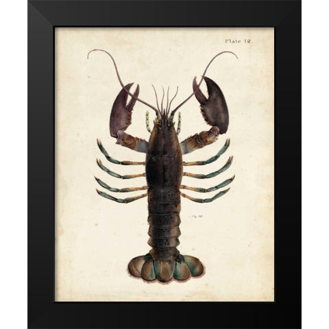 Vintage Lobster Black Modern Wood Framed Art Print by Dekay