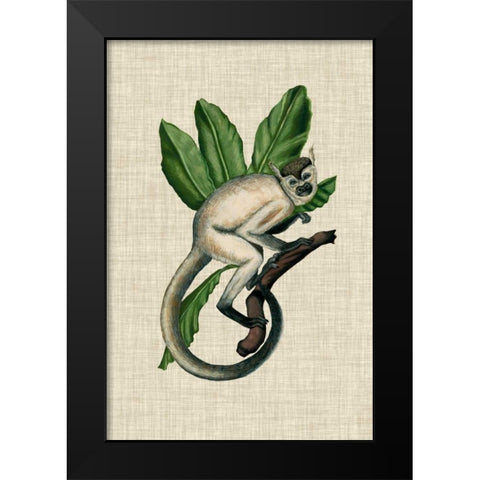 Canopy Monkey IV Black Modern Wood Framed Art Print by McCavitt, Naomi