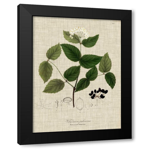 Linen and Leaves I Black Modern Wood Framed Art Print with Double Matting by Vision Studio