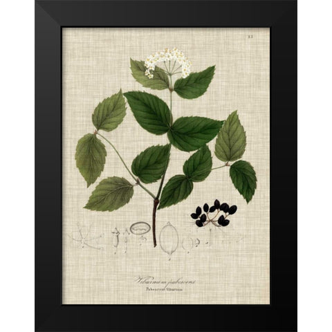 Linen and Leaves I Black Modern Wood Framed Art Print by Vision Studio