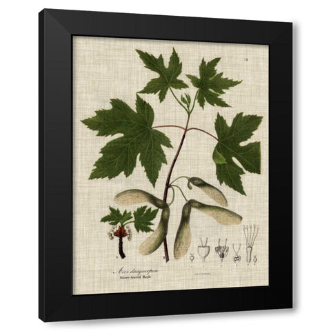 Linen and Leaves II Black Modern Wood Framed Art Print with Double Matting by Vision Studio