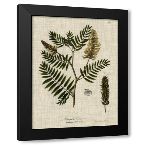 Linen and Leaves III Black Modern Wood Framed Art Print with Double Matting by Vision Studio