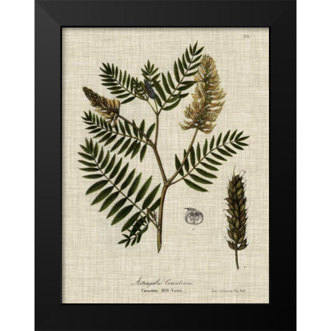 Linen and Leaves III Black Modern Wood Framed Art Print by Vision Studio