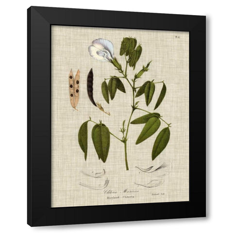 Linen and Leaves IV Black Modern Wood Framed Art Print with Double Matting by Vision Studio