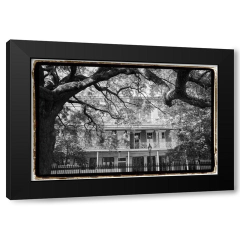 Jackson Square, New Orleans Black Modern Wood Framed Art Print with Double Matting by DeNardo, Laura