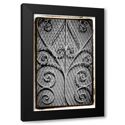 French Quarter Ironwork I Black Modern Wood Framed Art Print with Double Matting by DeNardo, Laura