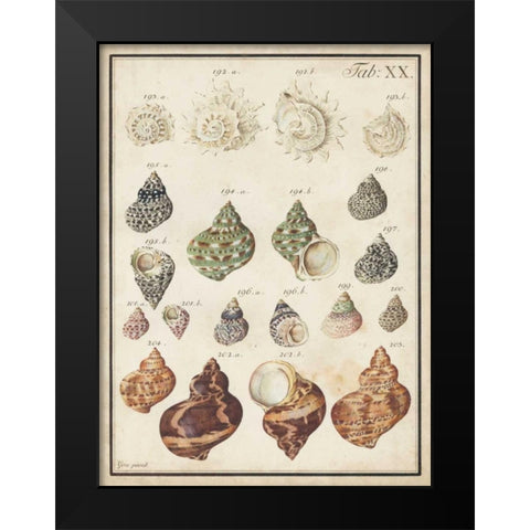 Seashell Synopsis I Black Modern Wood Framed Art Print by Vision Studio