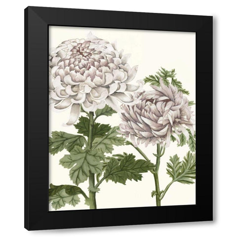Early Spring Chrysanthemums III Black Modern Wood Framed Art Print by McCavitt, Naomi