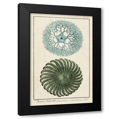 Ocean Oddity I Black Modern Wood Framed Art Print with Double Matting by Vision Studio