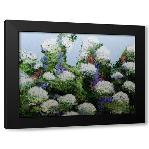 Mums Garden Black Modern Wood Framed Art Print by Friedlander, Allan