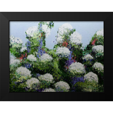 Mums Garden Black Modern Wood Framed Art Print by Friedlander, Allan