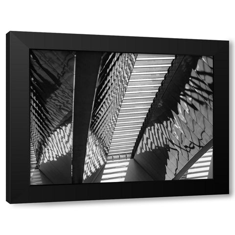 Varied Shapes I Black Modern Wood Framed Art Print with Double Matting by Bane, Eva