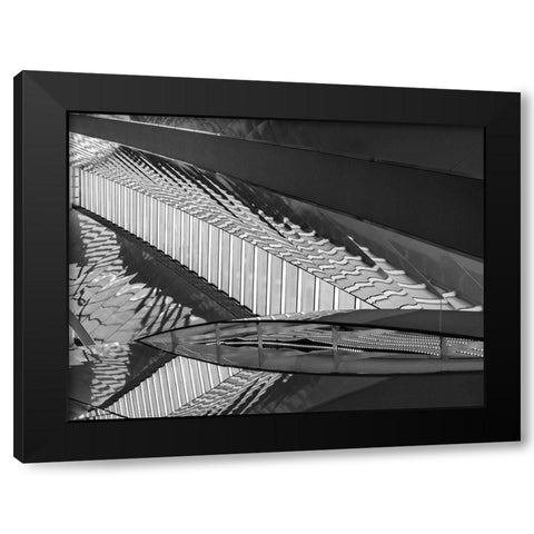 Varied Shapes II Black Modern Wood Framed Art Print by Bane, Eva