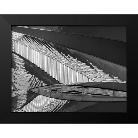 Varied Shapes II Black Modern Wood Framed Art Print by Bane, Eva