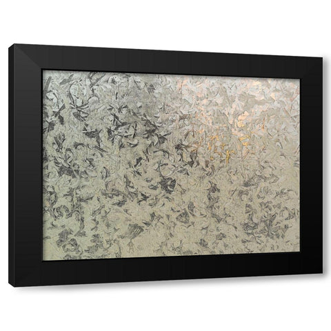 Frosty I Black Modern Wood Framed Art Print with Double Matting by Bane, Eva
